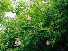 -南通奥特莱斯购物广场