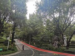 -龙头寺公园