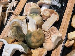 -一朵菌·野生菌探索家火锅(南亚店)