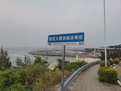 -杨梅坑