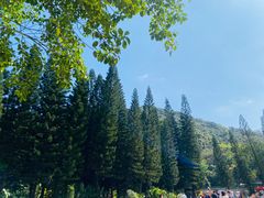 -深圳仙湖植物园