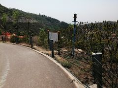 -山西乌金山旅游区