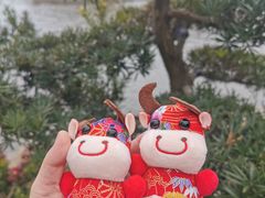 -锦溪古镇