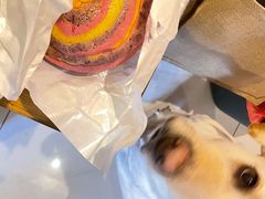 -烫面包·面包烘焙(绿地缤纷城店)