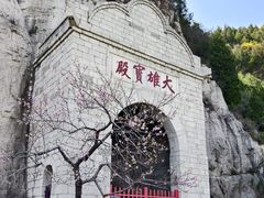 -佛慧山