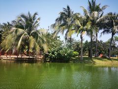 -白沙门生态公园