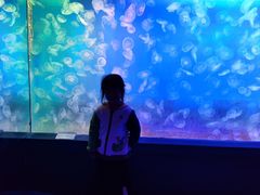 -左海海底世界