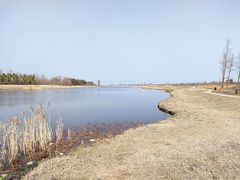 -春花秋色城市公园