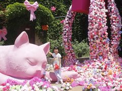 -青岛方特梦幻王国
