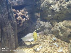 -福州罗源湾海洋世界旅游区