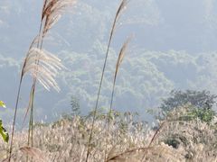 -樱桃山旅游景区