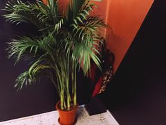 -Hurricane's Grill 飓风牛排