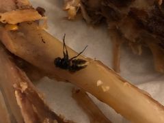 -双流传承老妈兔头(玉林总店)