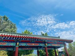 -莲花池公园