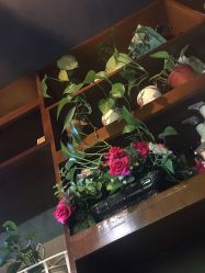 -柯琳造型
