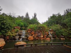 -广东花都湖国家湿地公园