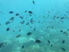 -亚龙湾海底世界