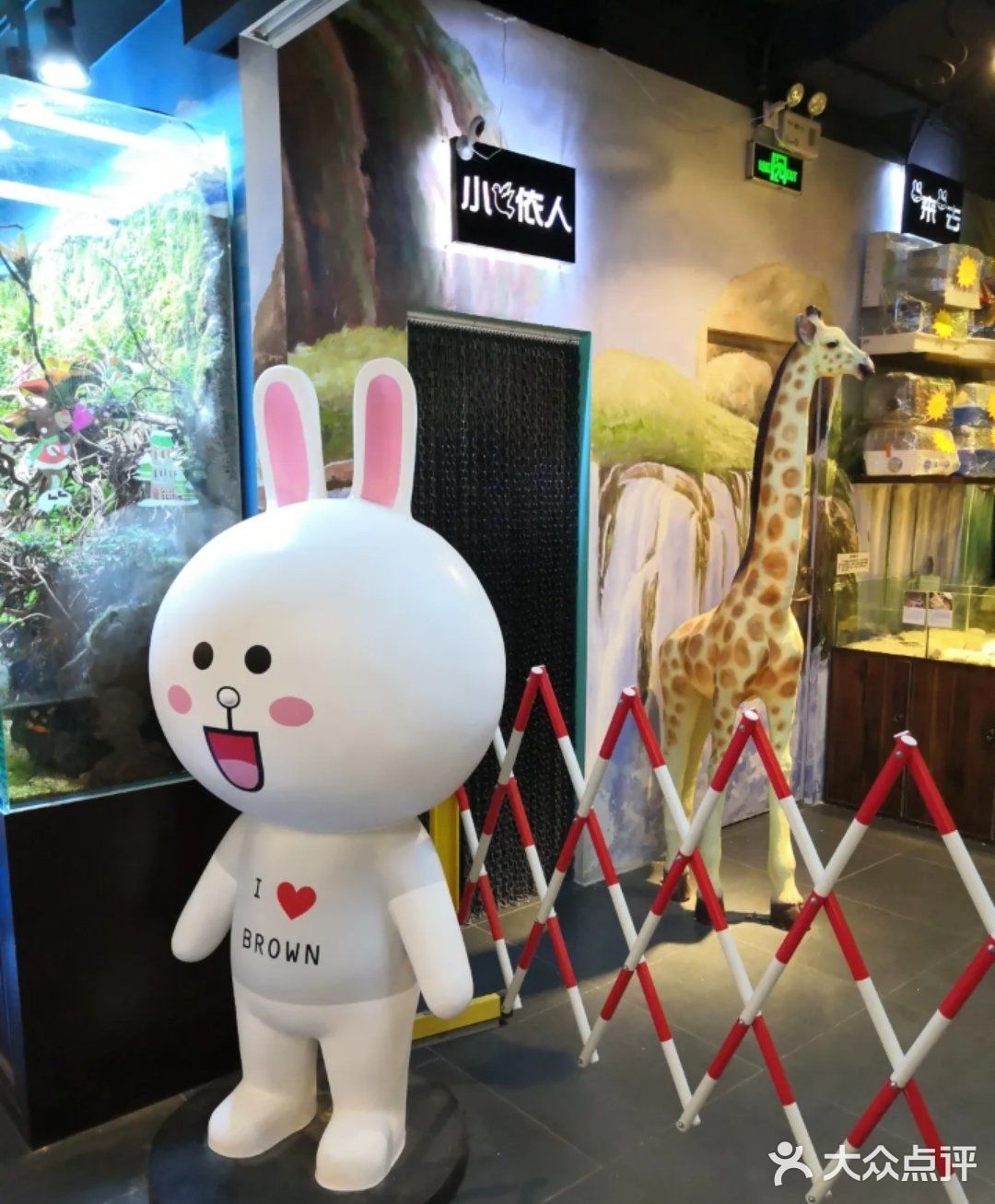 🐿撩宠乐园，心动的感觉～