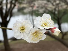 -绍兴东湖风景区