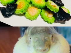 -肆月河豚·新淮扬菜·烤鸭(中关村店)