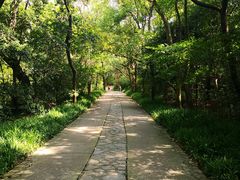 -紫霞湖公园