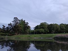 -两河城市森林公园