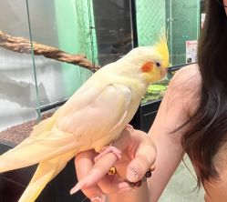 -Zoolung Zoolung动物主题公园(海信广场店)