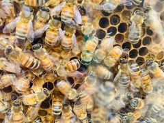 -北京植物园南门售票处