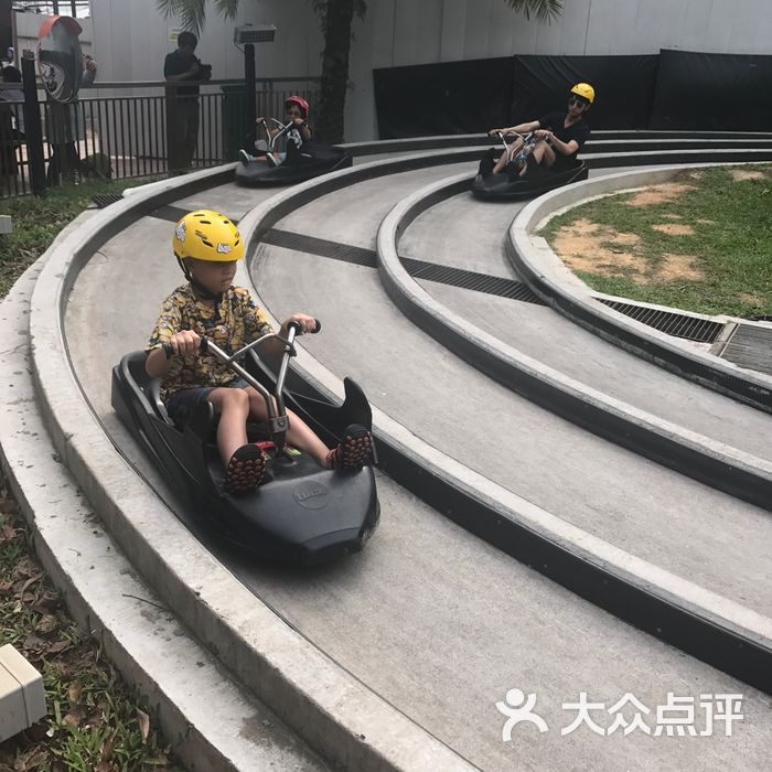 圣淘沙天际线斜坡滑车图片-北京更多景点玩乐-大众点评网