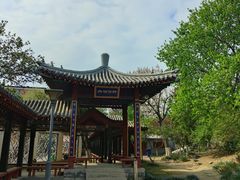 -桃花堤公园