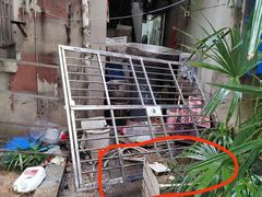 -金良酸菜鱼(宁海路总店)