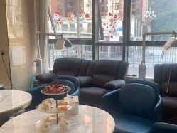 -碧莲盛·不剃发植发