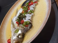 -曼格纳·曼芯馆(杨浦店)