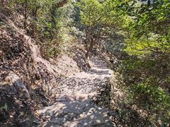 -梧桐山风景名胜区