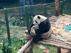 -大连森林动物园