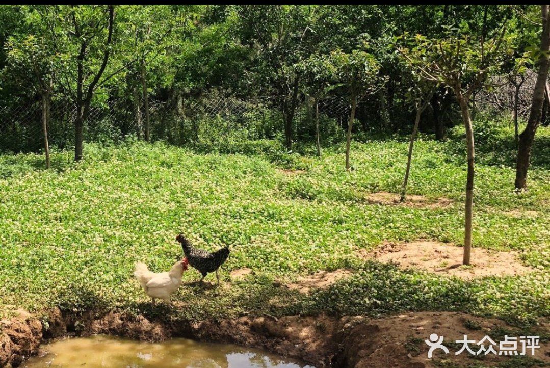 带孩子来农场里面体验大自然，感受大自然吧！