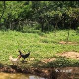 带孩子来农场里面体验大自然，感受大自然吧！