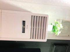 -紫光园·烤鸭·北京菜(劲松店)