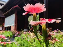 -石峰岩寺