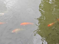 -珠海圆明新园