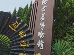 -洛阳古墓博物馆