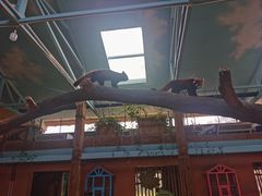 -辛玛王国游乐园