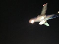 -In-N-Out Burger(LAX)