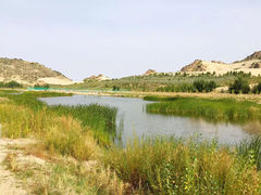 -玉龙沙湖景区