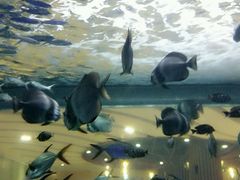 -常州海昌海洋探索馆