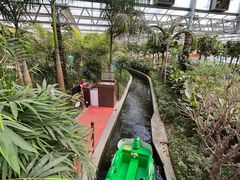 -南宫五洲植物乐园