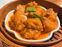 -点都德·毕德寮