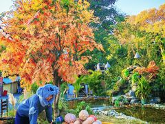 -HERRE·FARM 赫尔露营农场·团建聚会包场