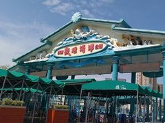 -海合安成都极地海洋公园