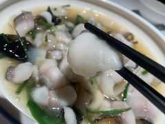 -金春禧(世茂国际广场店)